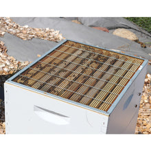 Load image into Gallery viewer, 10 Frame COMPLETE Hive Kit