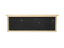 Load image into Gallery viewer, 6 1/4" (Medium) Assembled Frames with Premier Double-waxed Foundation