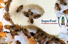 Load image into Gallery viewer, SuperFuel Probiotic Fondant