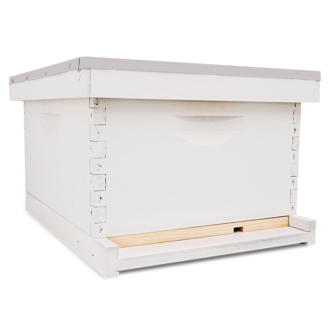 10 Frame Single Hive Kit