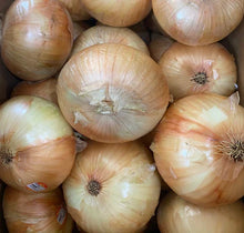 Load image into Gallery viewer, Vidalia Sweet Onions--25lb. bag
